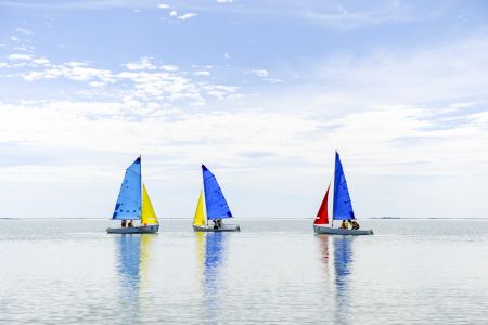 Sail Boats (Meningie)
