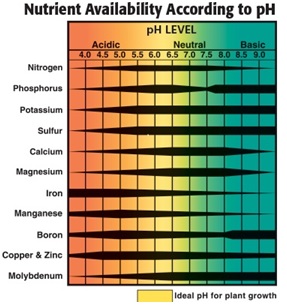 pH chart
