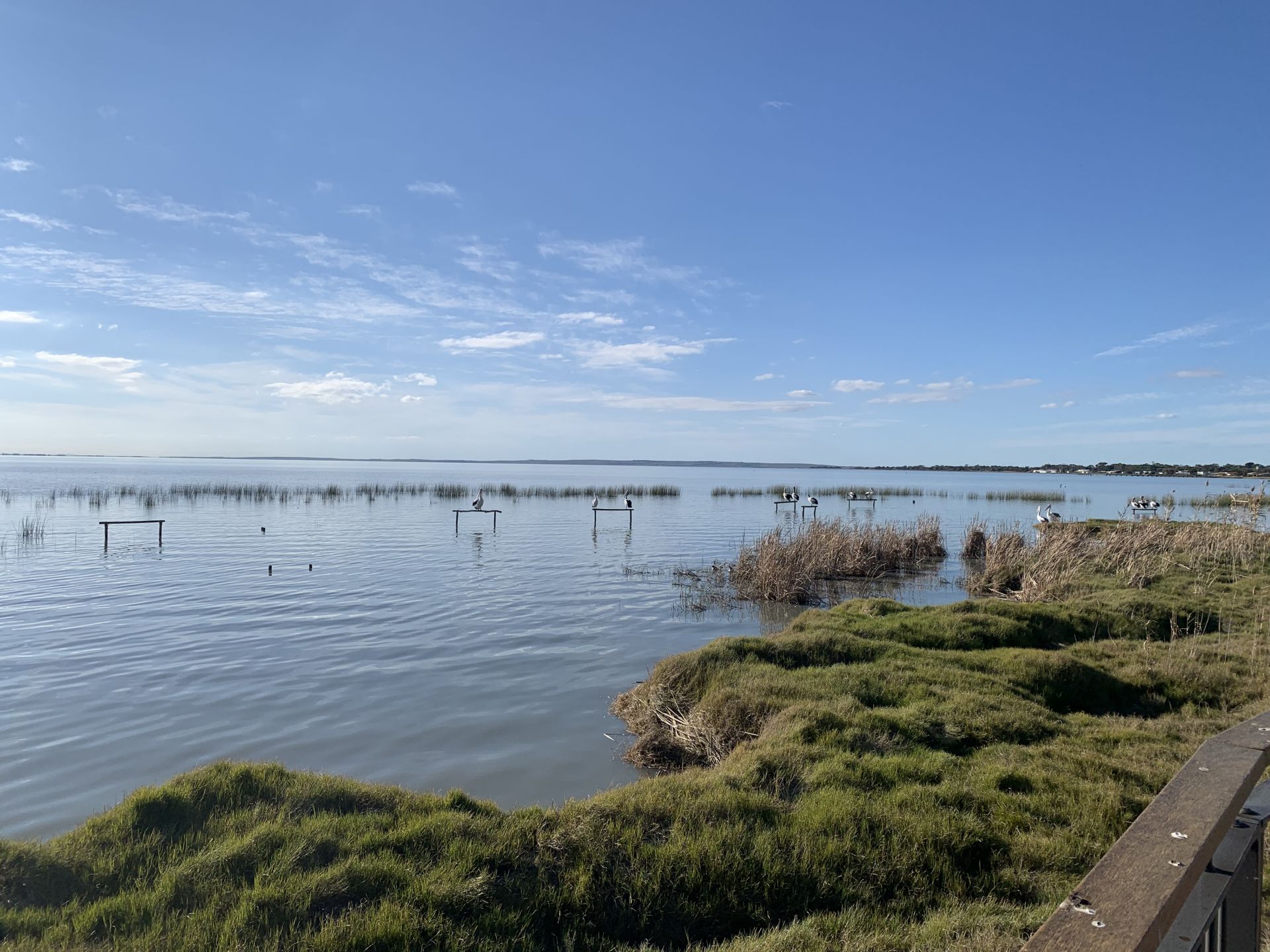 Meningie - view of lake albert from Narrung rd viewing platform