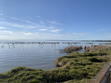 Meningie - view of lake albert from Narrung rd viewing platform