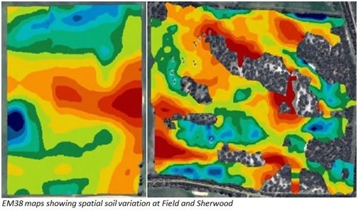 EM38 maps showing spatial soil variation at Field and Sherwood