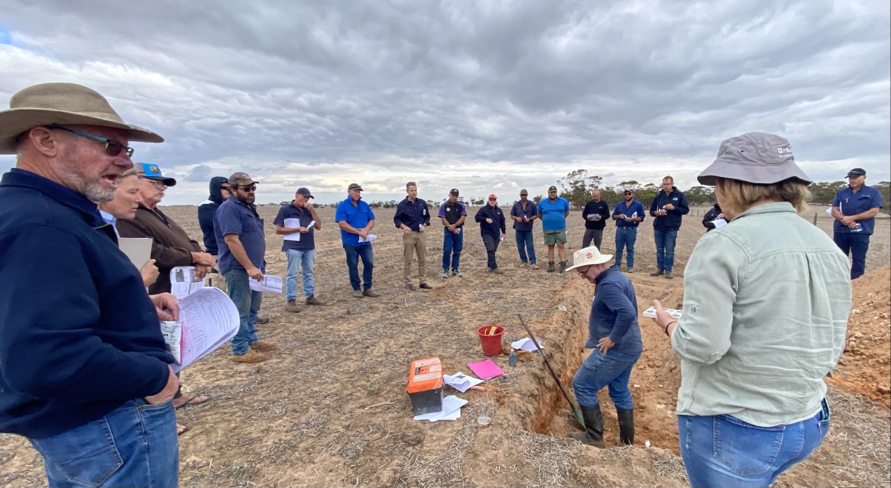 Brian Hughes of PIRSA discuss overcoming soil constraints including dryland salinity Brian Hughes of PIRSA discuss overcoming soil constraints including dryland salinity