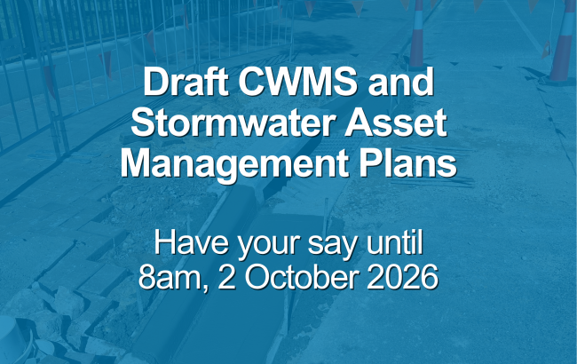 Website thumbnail - Draft CWMS and Stormwater Asset Management Plans_V1