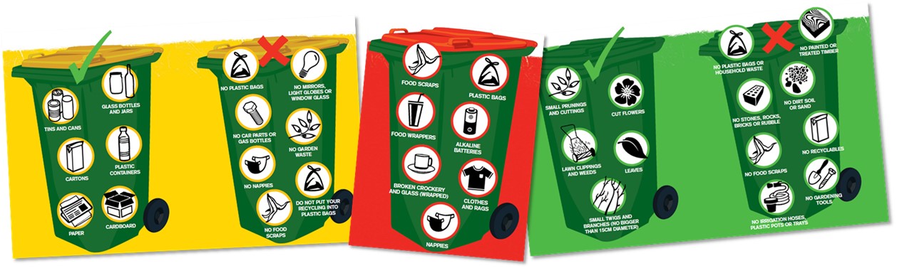 'Which bin?' Education Graphic
