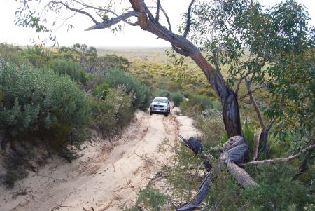 Ngarkat Conservation Park (Pinaroo)