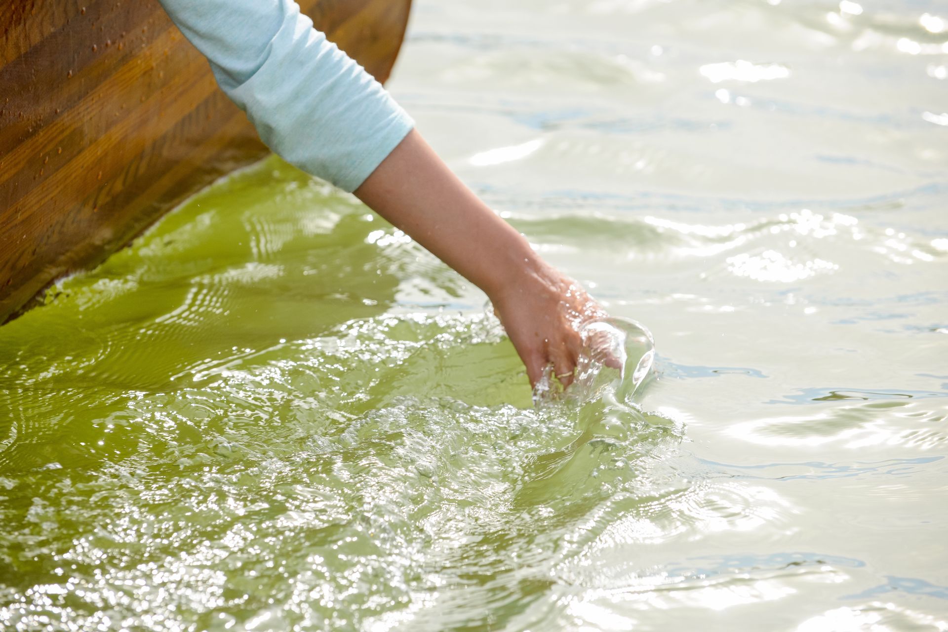 Water Dipping (Coorong National Park)