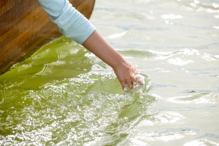 Water Dipping (Coorong National Park)