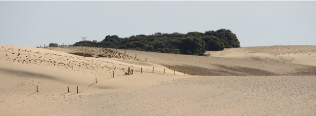 wind erosion image 2