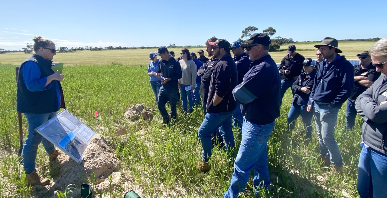 Dr Mel Fraser leading the Farm Walk at Ptitzners