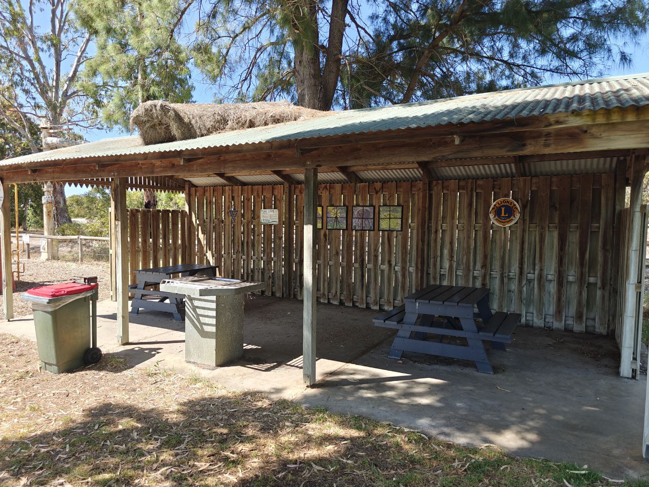Tintinara Apex Park Photos 2025 - Shelter