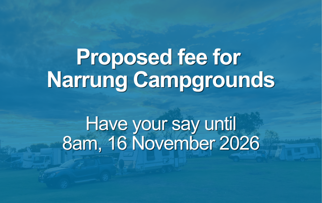 Website thumbnail - Proposed fee for Narrung Campground 2026