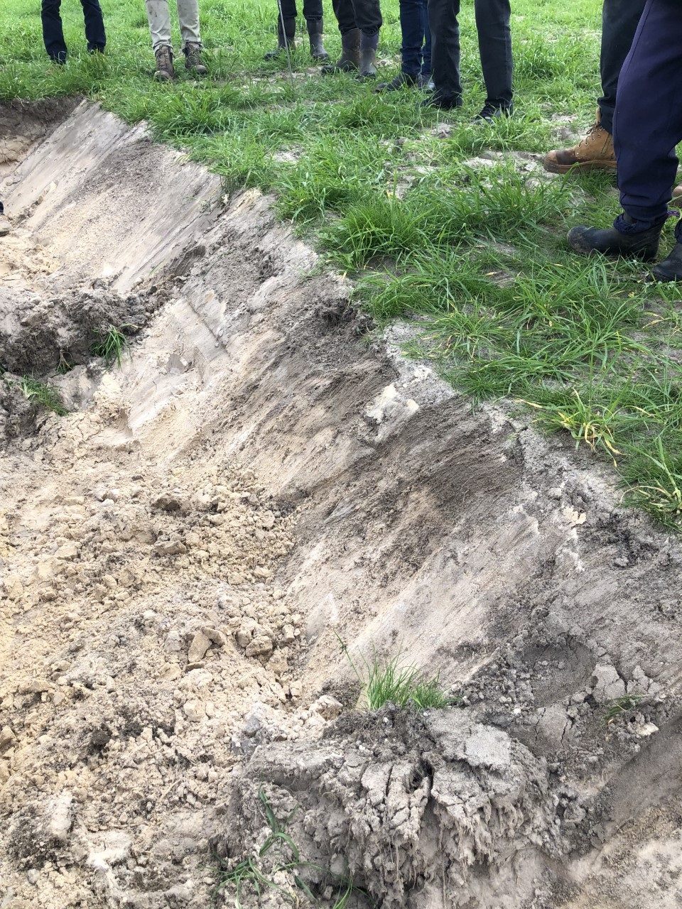 Field Amended Soil Profile