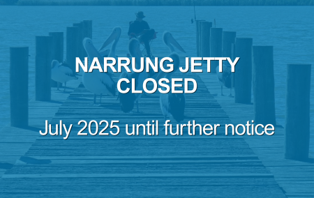 Website thumbnail - Narrung Jetty Closure - July 2025