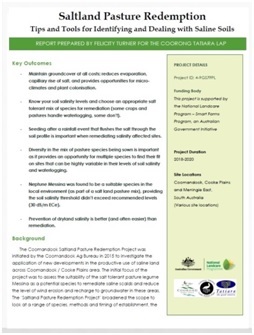 2 Saltland Pasture Redemption Report page 1