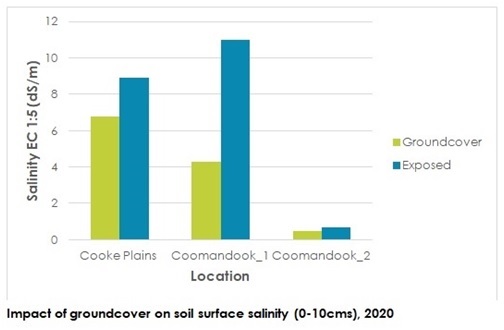 4 Impact of groundcover on soil surface salinity