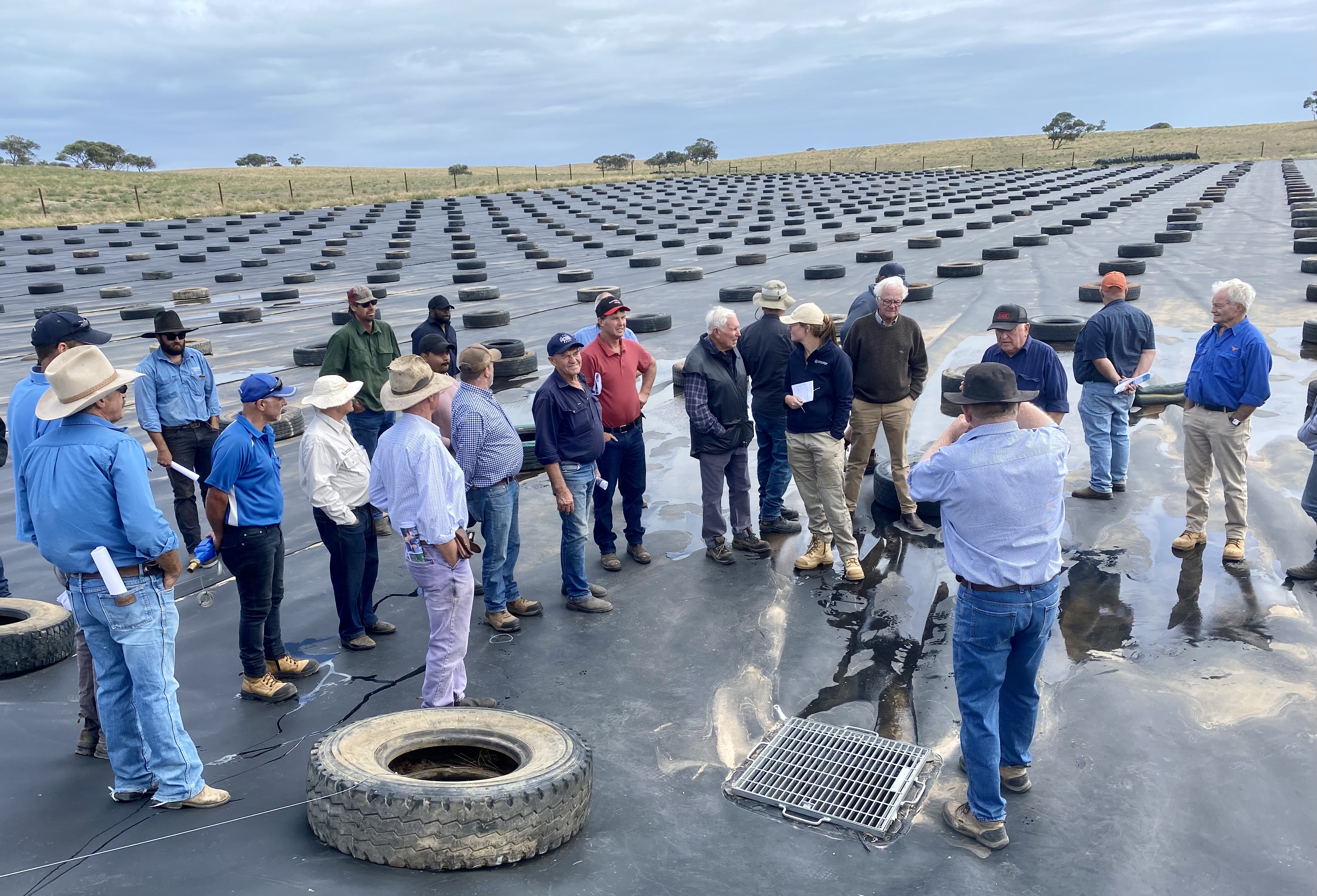 The group in discussion at Cornish Pastoral Catchment