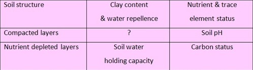 soil constraints