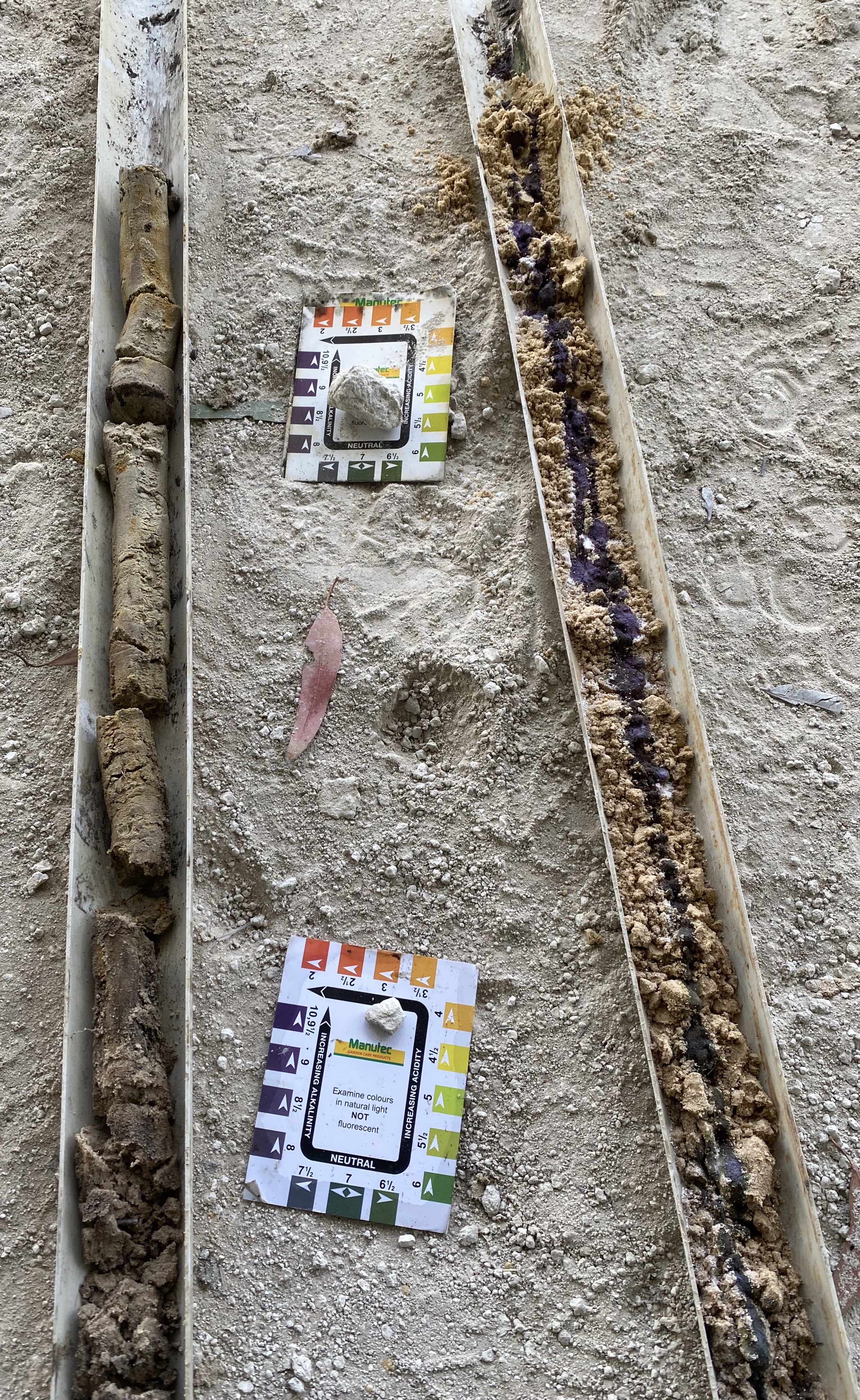 Colebatch Soil Cores Colebatch Soil Cores