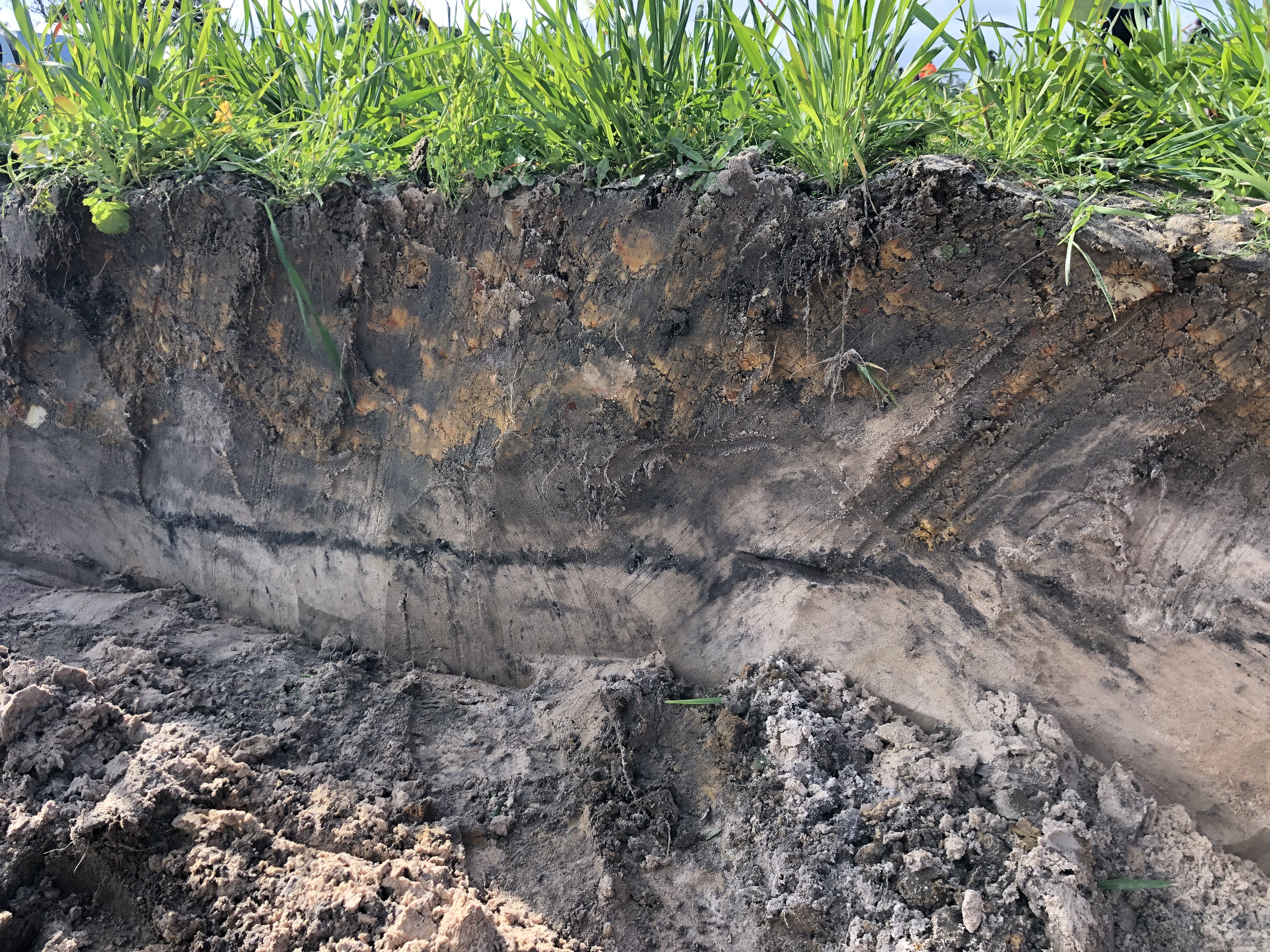 Western Flat Amended Soil Profile