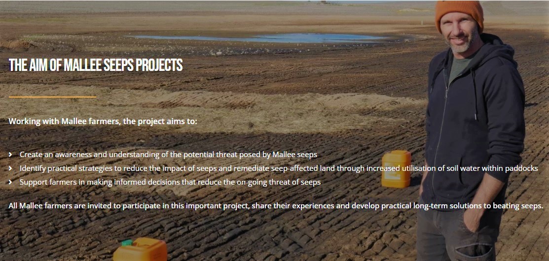 mallee seeps web page image mallee seeps web page image