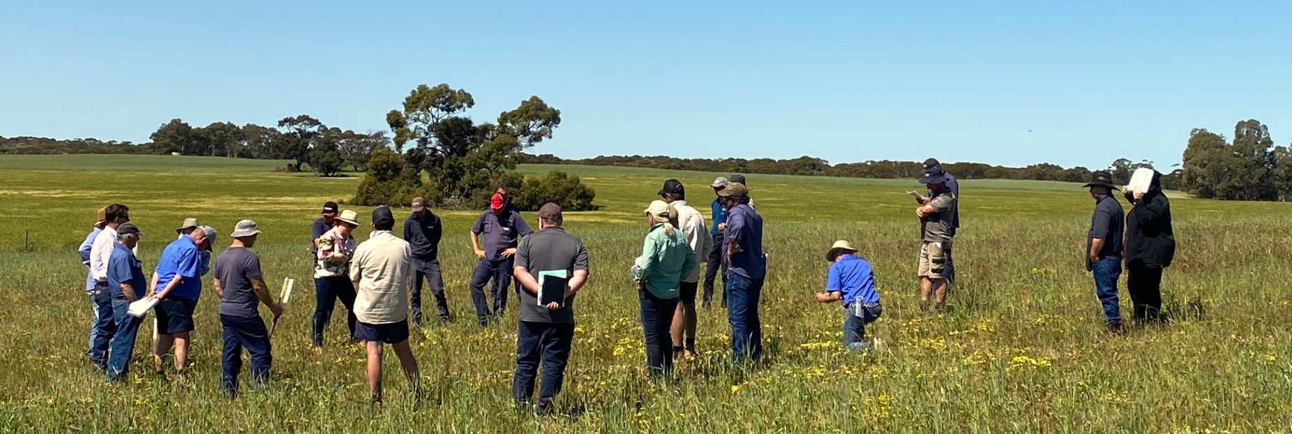 Dr Mel Fraser MLA demonstration site Booderoo