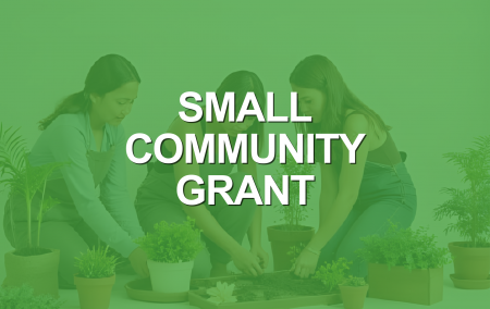 Website thumbnail - small Community grant