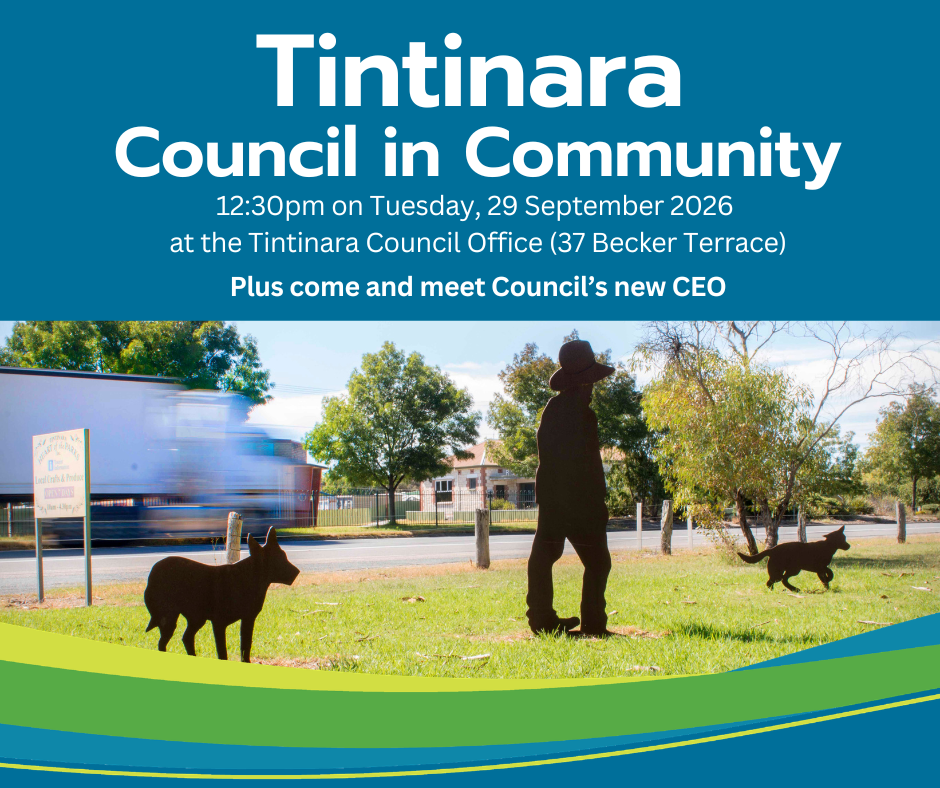 Tintinara Council in Community session flyer