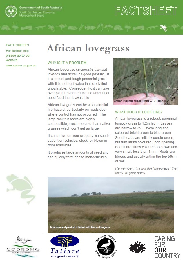 African Lovegrass Fact Sheet Front Cover