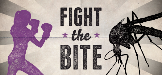 SA Health - Fight the bite website banner