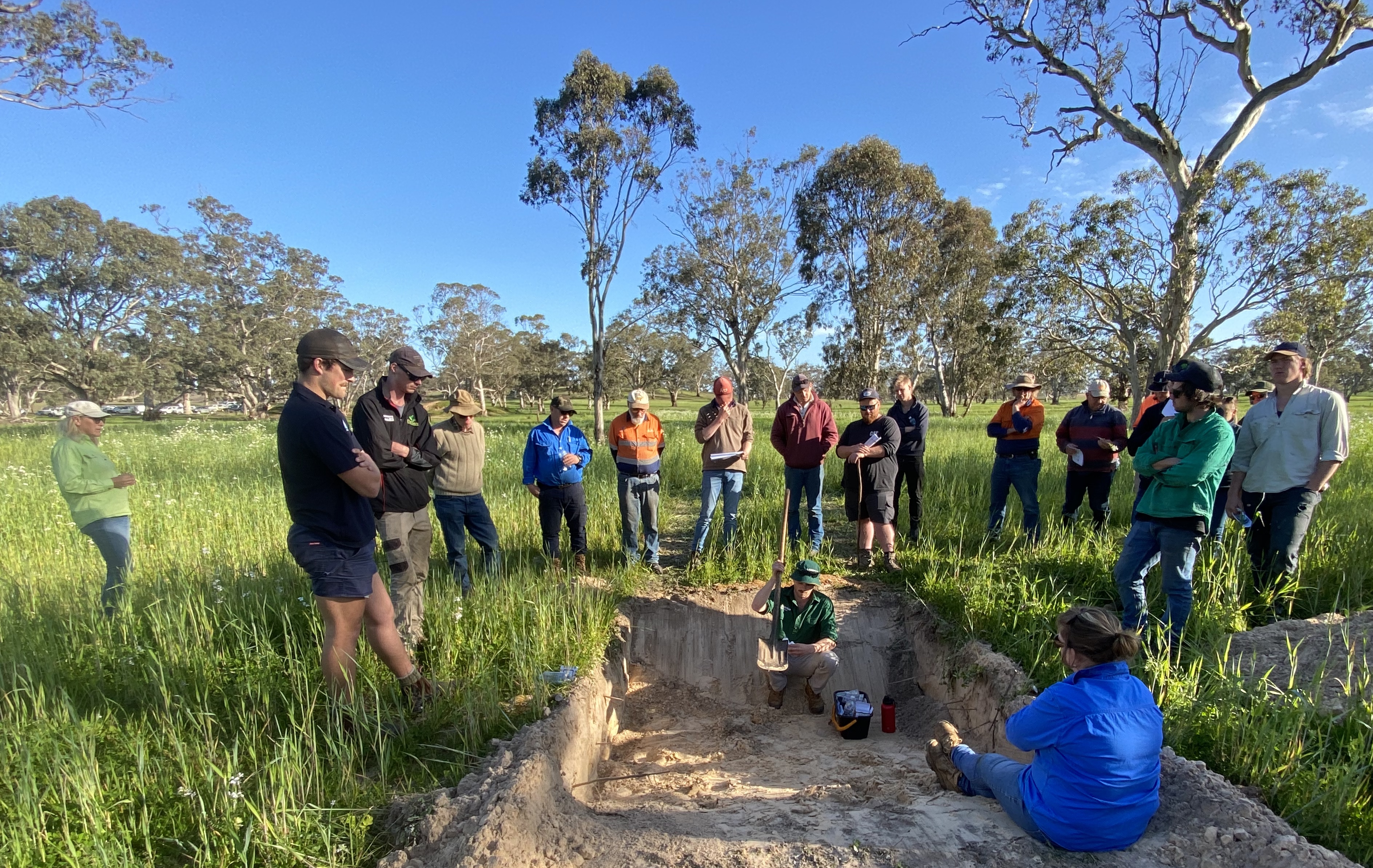 The group examine the soil profile on Verco's The group examine the soil profile on Verco's