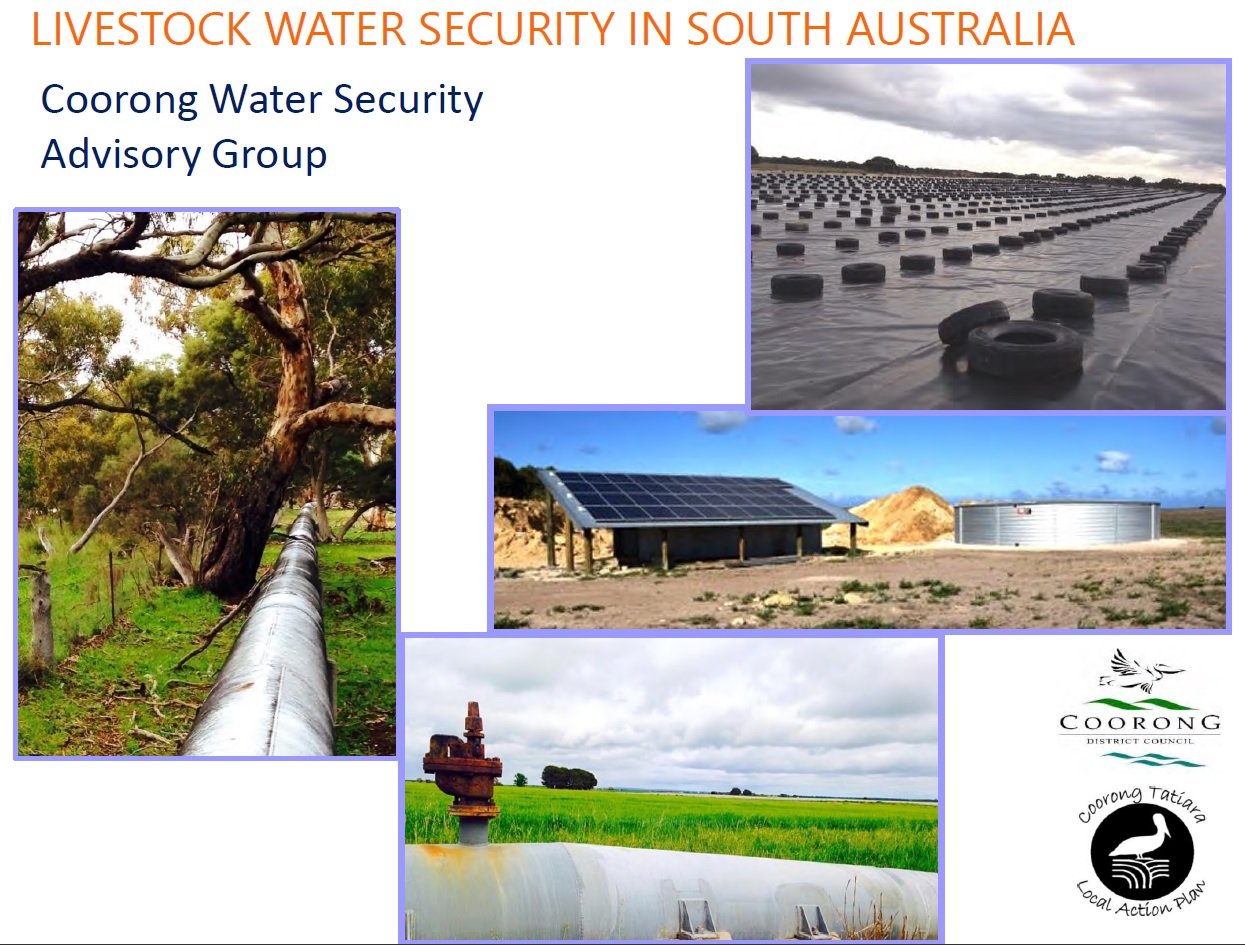 Livestock Water Security in South Australia Image