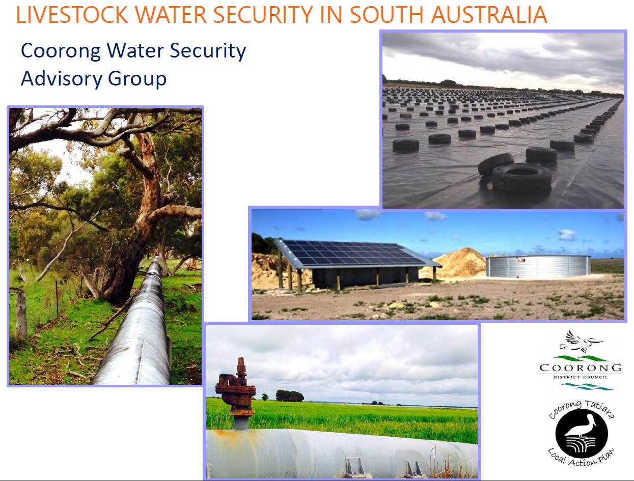 Livestock Water Security in South Australia Image Livestock Water Security in South Australia Image