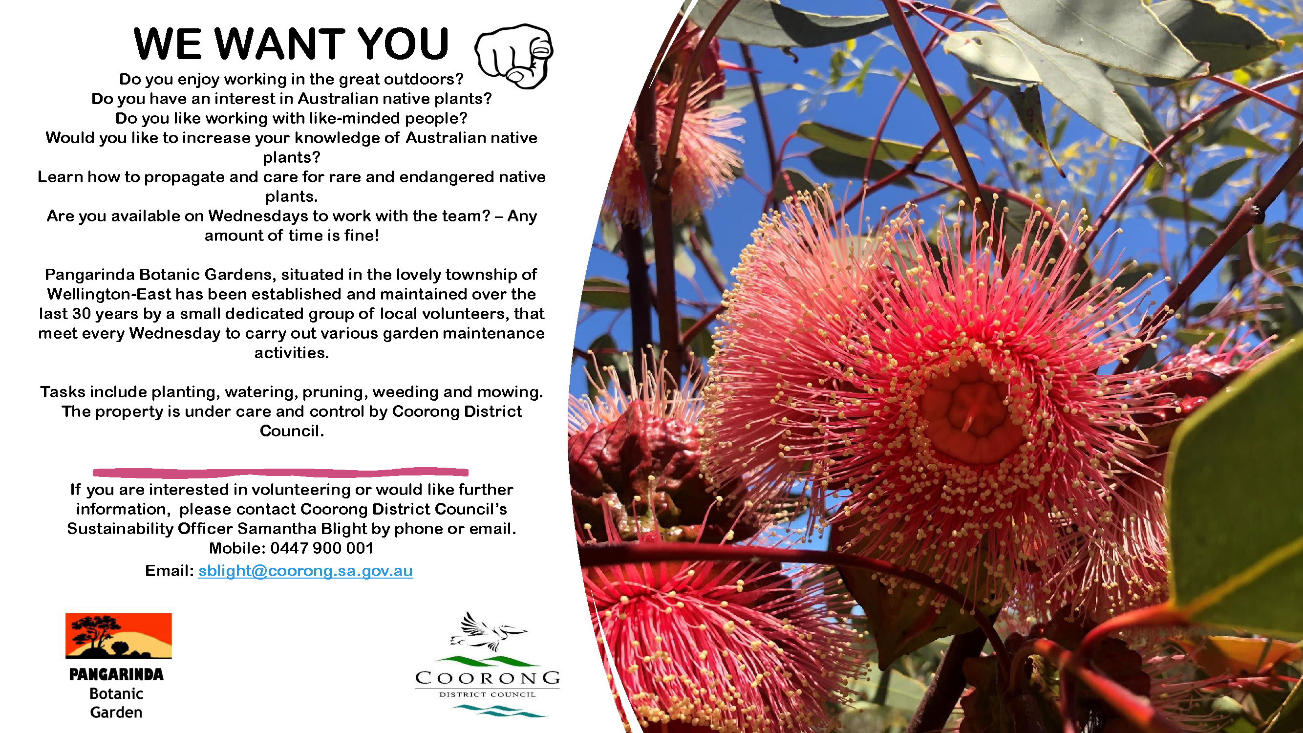 Pangarinda Botanic Garden volunteer recruitment brochure